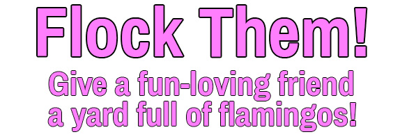 Flock Them